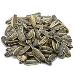 تخمه آفتابگردان نمکی